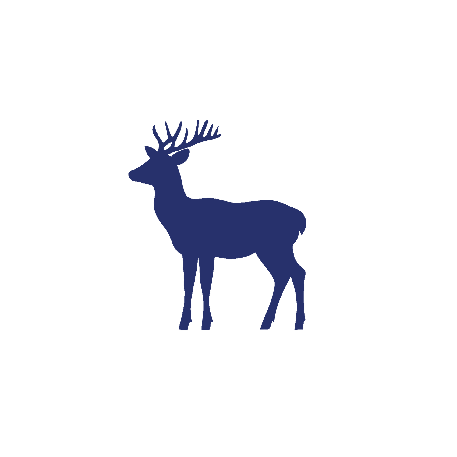 Wild